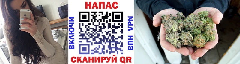 что такое   Ершов  Бошки Шишки гибрид 